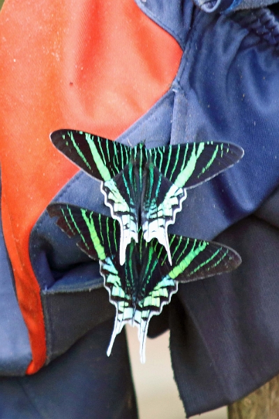 18-communaute_houiririma_049.jpg