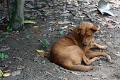 18-communaute_houiririma_001