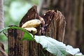 18-communaute_houiririma_004