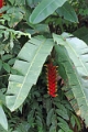 18-communaute_houiririma_010