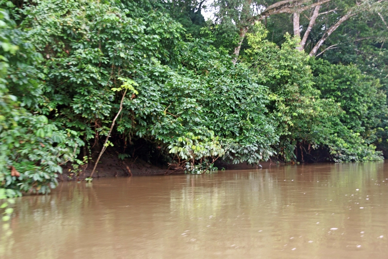 19-riviere_panayacu_003.jpg