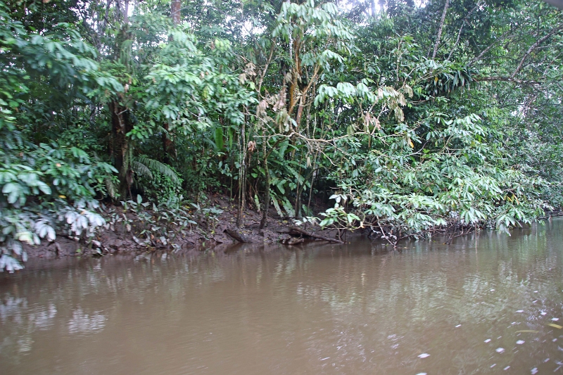 19-riviere_panayacu_010.jpg