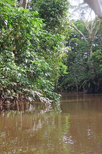 19-riviere_panayacu_021.jpg