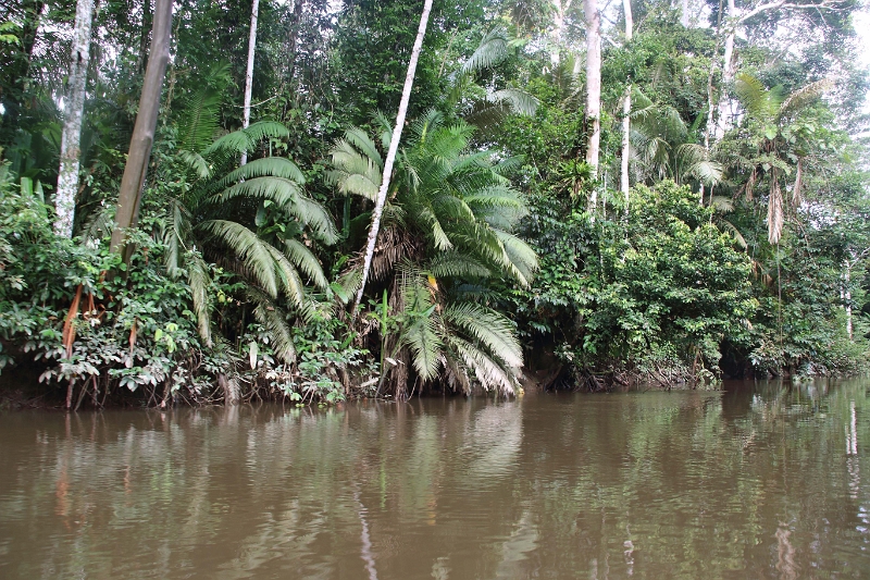 19-riviere_panayacu_027.jpg