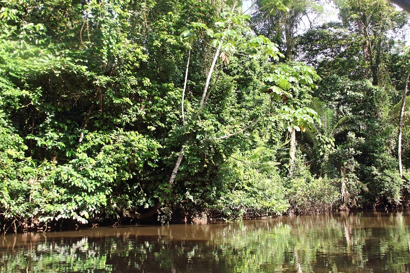 19-riviere_panayacu_028.jpg