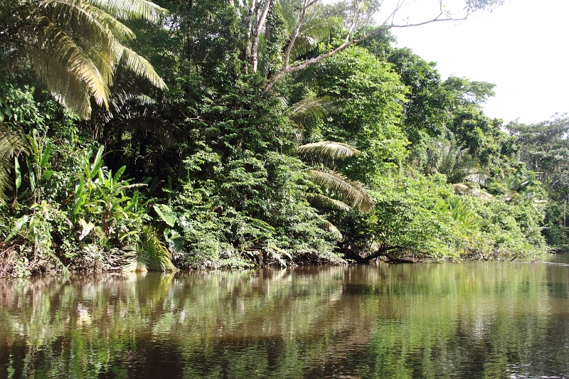 19-riviere_panayacu_029.jpg