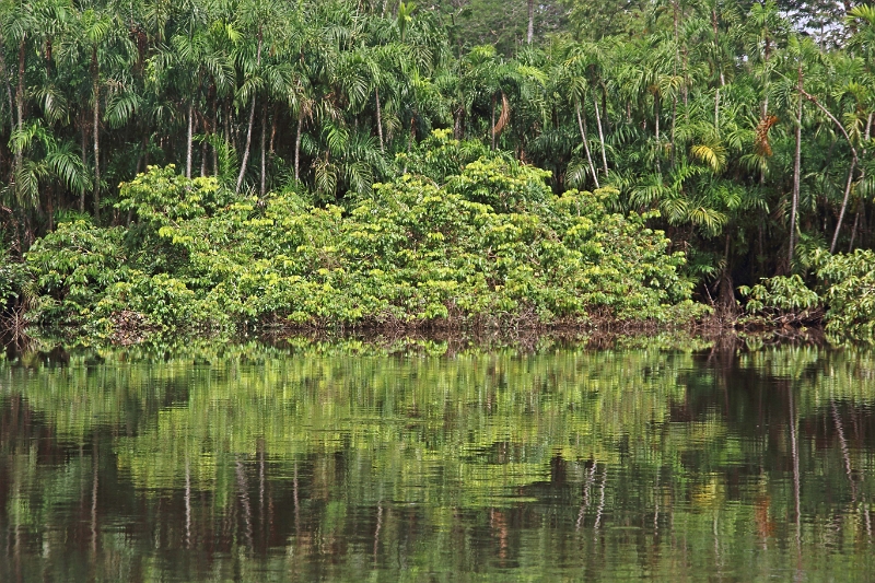 19-riviere_panayacu_044.jpg