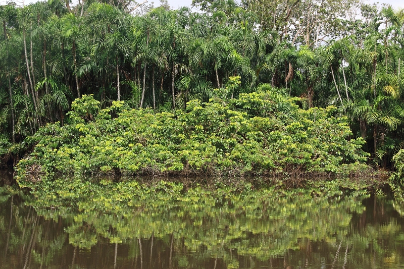 19-riviere_panayacu_045.jpg