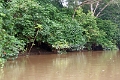 19-riviere_panayacu_003