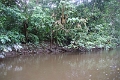 19-riviere_panayacu_010