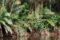 19-riviere_panayacu_019