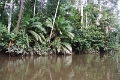 19-riviere_panayacu_027