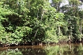 19-riviere_panayacu_028