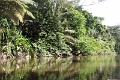 19-riviere_panayacu_029