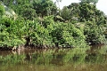 19-riviere_panayacu_030
