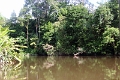 19-riviere_panayacu_031