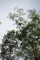 19-riviere_panayacu_032