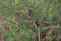 19-riviere_panayacu_041