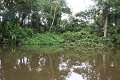 19-riviere_panayacu_043