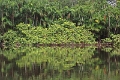 19-riviere_panayacu_044