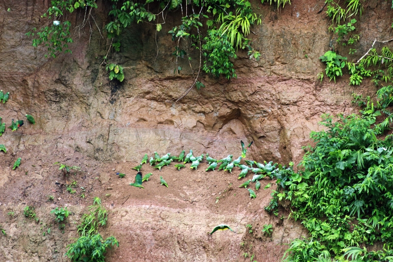 24-falaise_argile_010.jpg