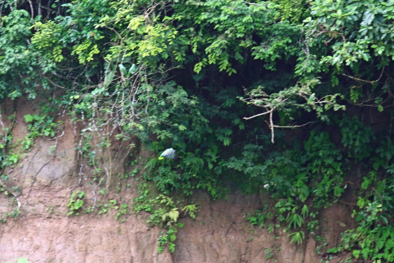 24-falaise_argile_012.jpg