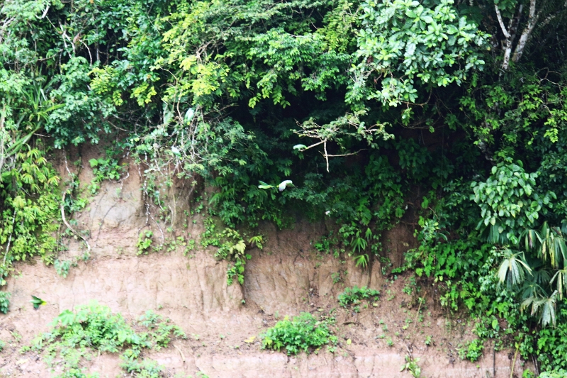 24-falaise_argile_026.jpg
