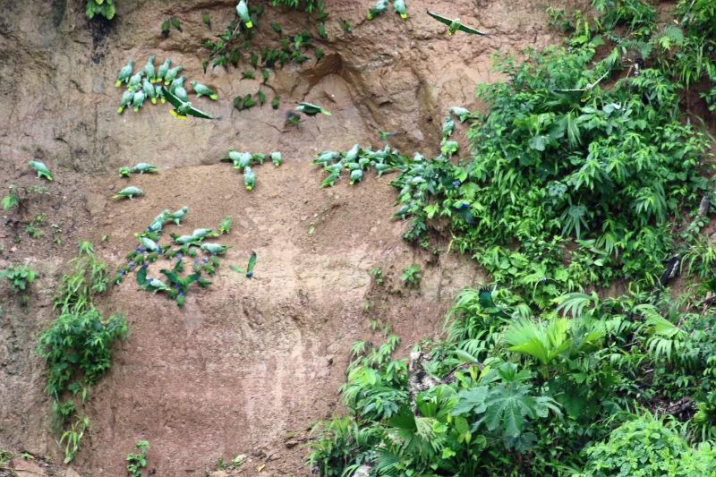 24-falaise_argile_061.jpg