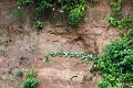 24-falaise_argile_010