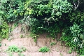 24-falaise_argile_026