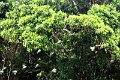 24-falaise_argile_028