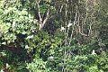 24-falaise_argile_044