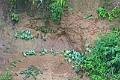 24-falaise_argile_050