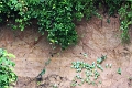 24-falaise_argile_053