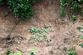 24-falaise_argile_054