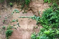 24-falaise_argile_060