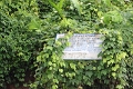 24-falaise_argile_065