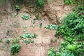 24-falaise_argile_073