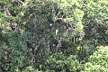 24-falaise_argile_075