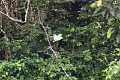 24-falaise_argile_077