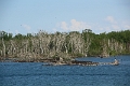 017_toronto_033