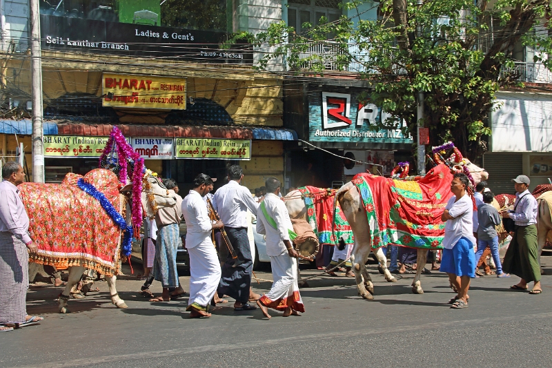 01_02-procession_002.jpg