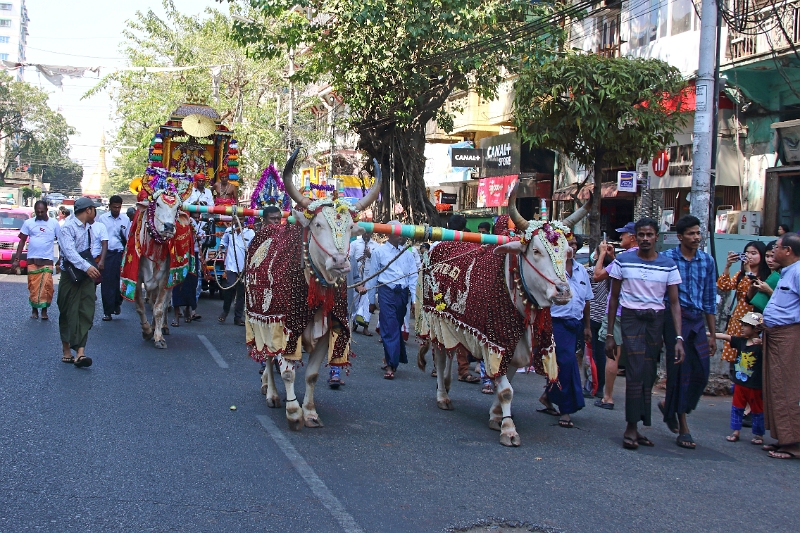 01_02-procession_017.jpg