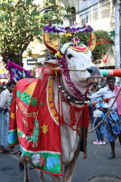 01_02-procession_020.jpg