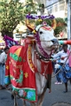 01_02-procession_020