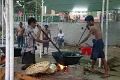 01_04-schwedagon_011