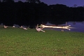 01_05_restaurant_005