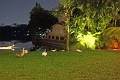 01_05_restaurant_009