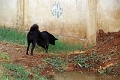 04_01_debarquement-cyclo_013