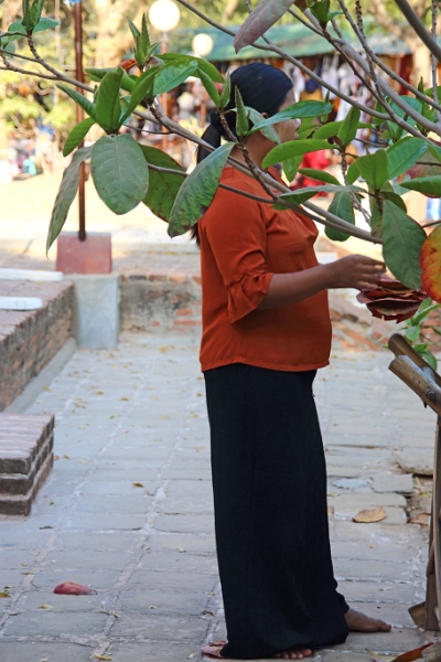 07-11_bagan_006.jpg